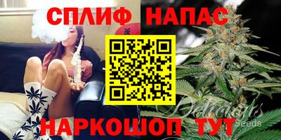 стафф Апшеронск