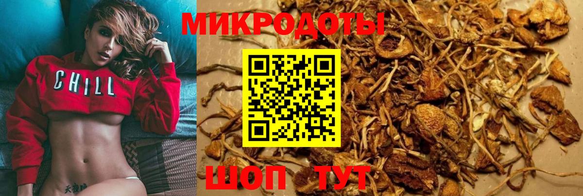 Галлюциногенные грибы мицелий Бузулук